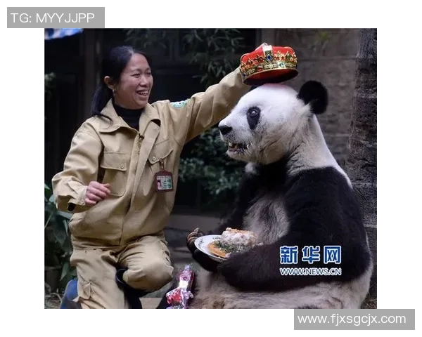 足球明星倾情认养熊猫温暖瞬间视频展现爱心与责任