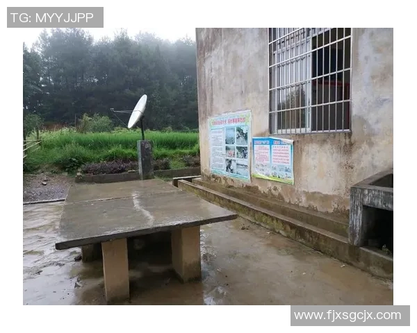 深度对话：吴丽的乒乓球人生